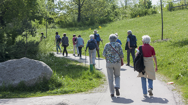 Wanderung 08.01.2020